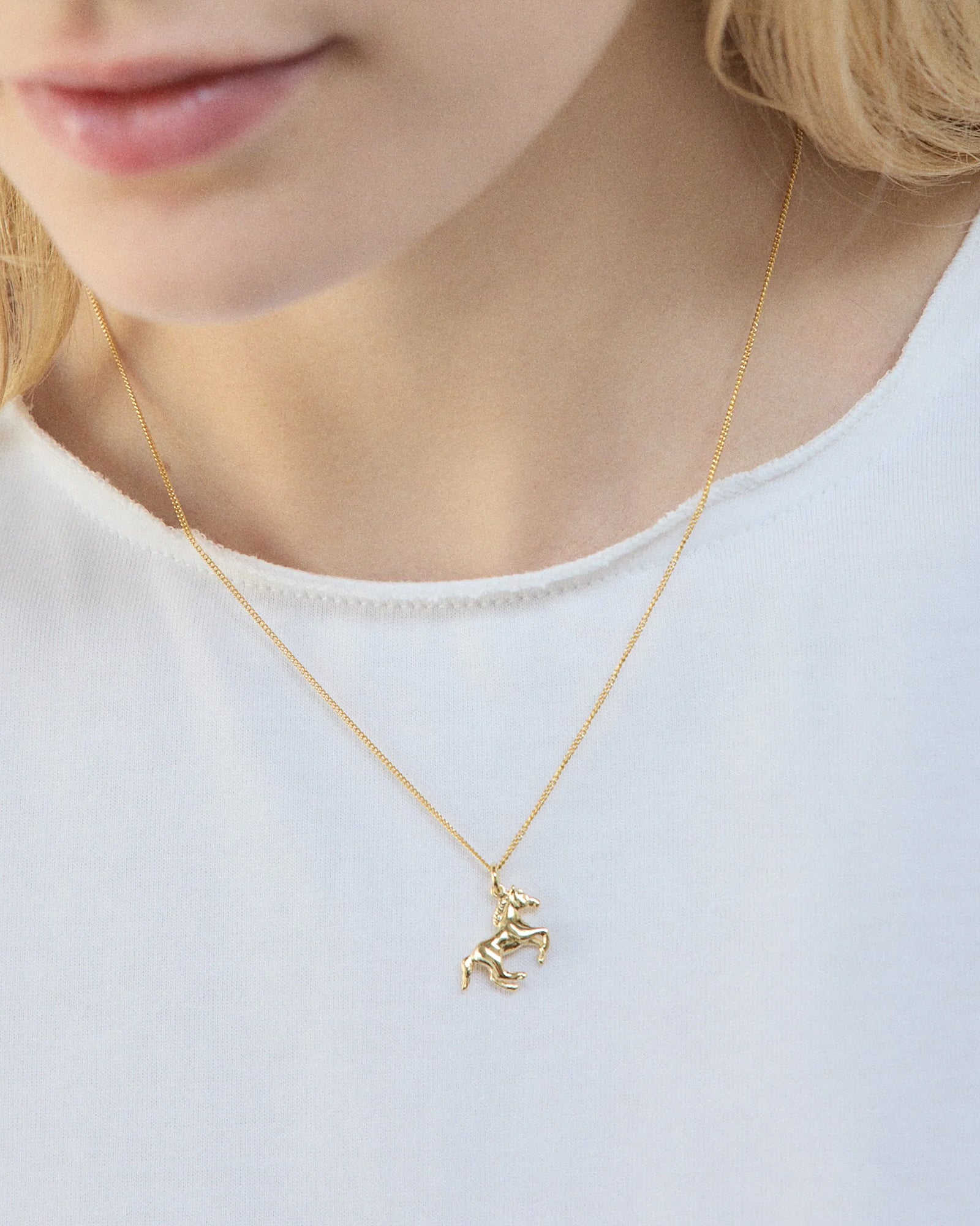 Wolf Circus-Horse Charm Necklace-Necklaces-Blue Ruby Jewellery-Vancouver Canada