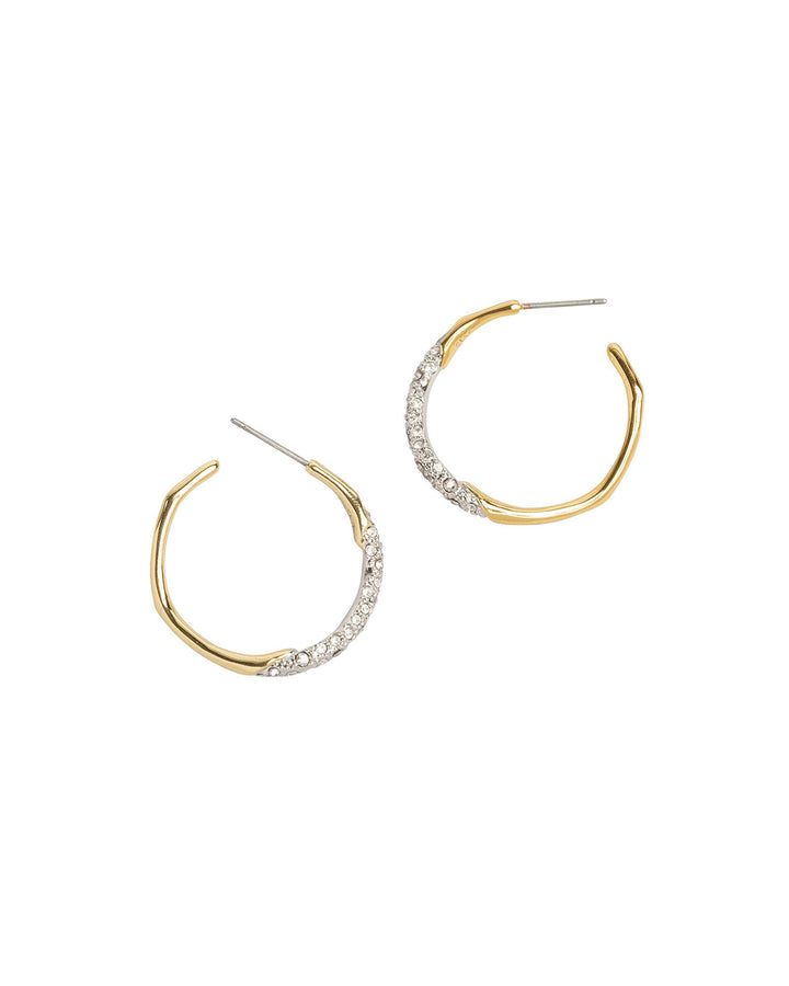 Alexis Bittar-Gold Crystal Pave Hoops-Earrings-14k Gold Plated, Crystal-Blue Ruby Jewellery-Vancouver Canada