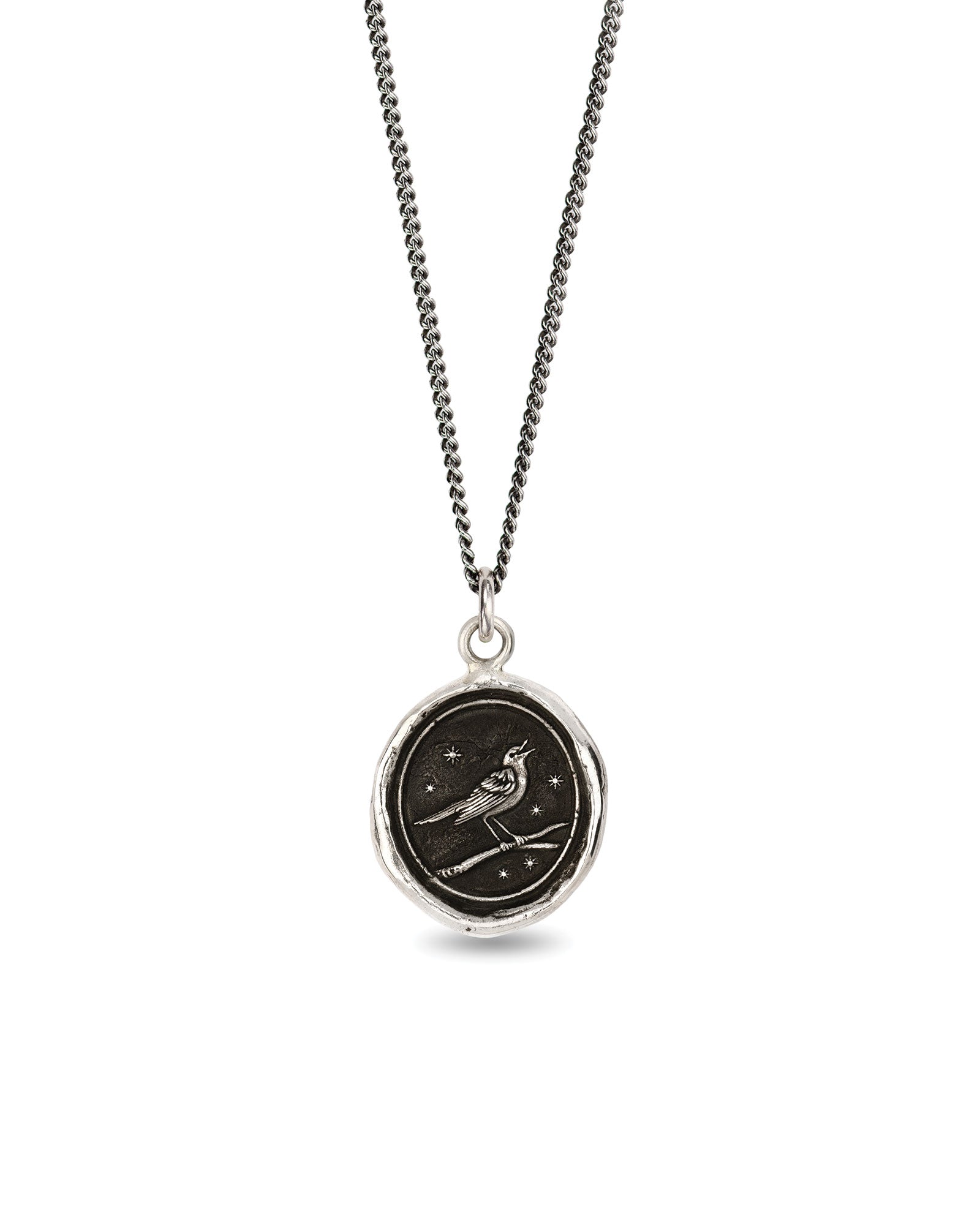Nightingale Talisman-Oxidized Sterling Silver-Blue Ruby Jewellery-Vancouver Canada