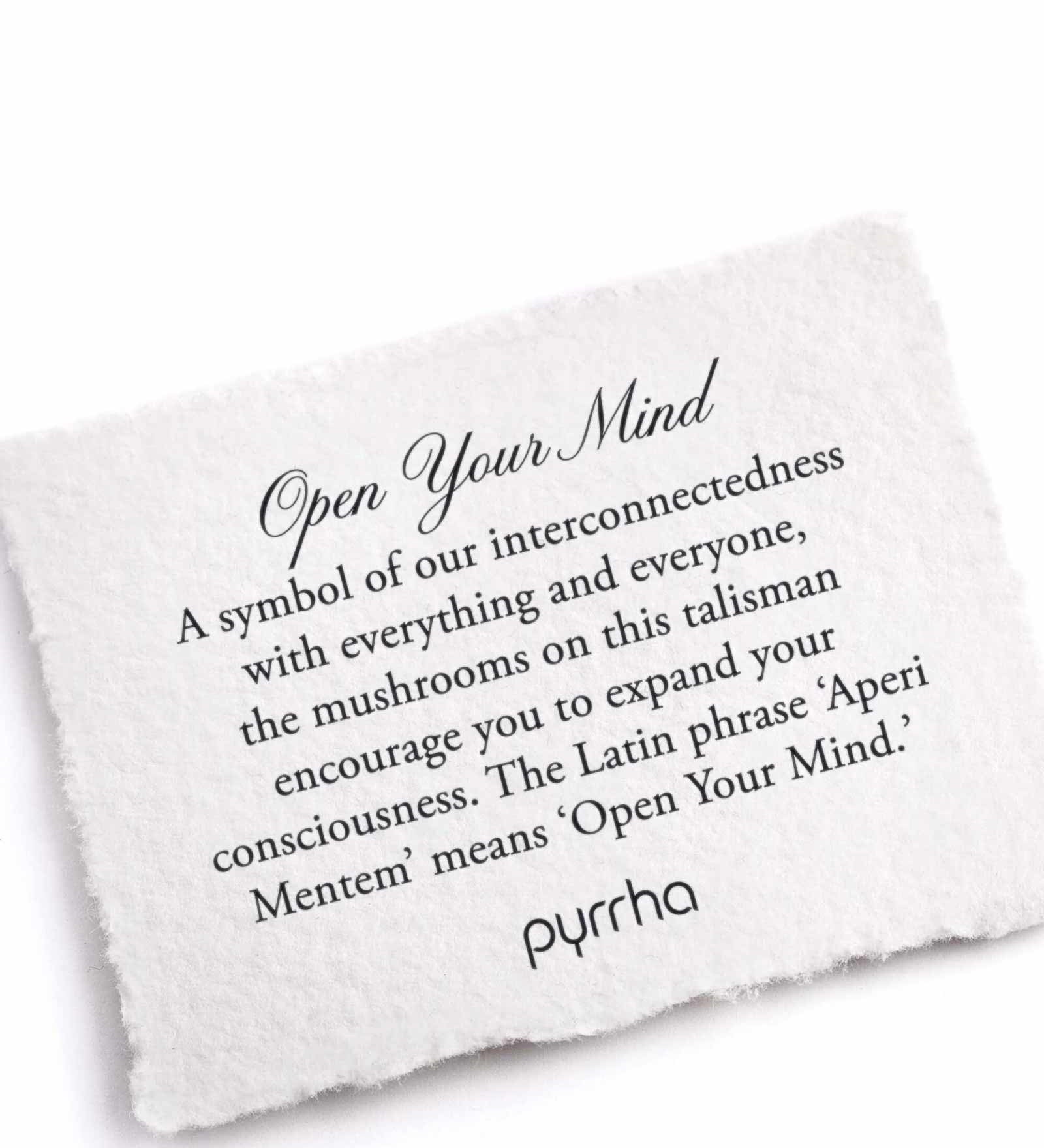 Open Your Mind Talisman-Oxidized Sterling Silver-Blue Ruby Jewellery-Vancouver Canada