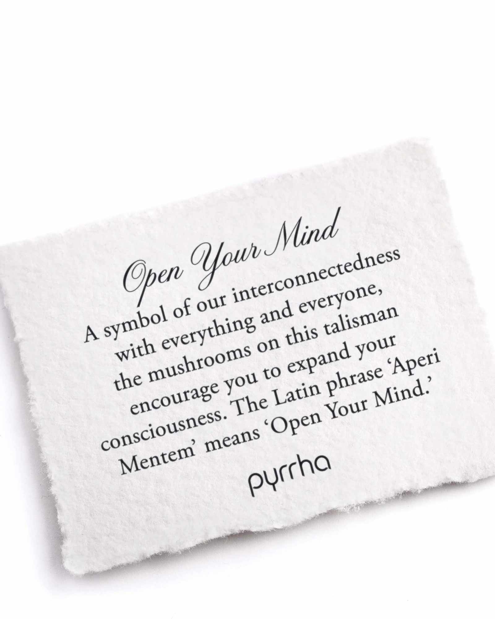 Open Your Mind Talisman-Oxidized Sterling Silver-Blue Ruby Jewellery-Vancouver Canada