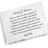 Seeds Of Success Talisman-Oxidized Sterling Silver-Blue Ruby Jewellery-Vancouver Canada