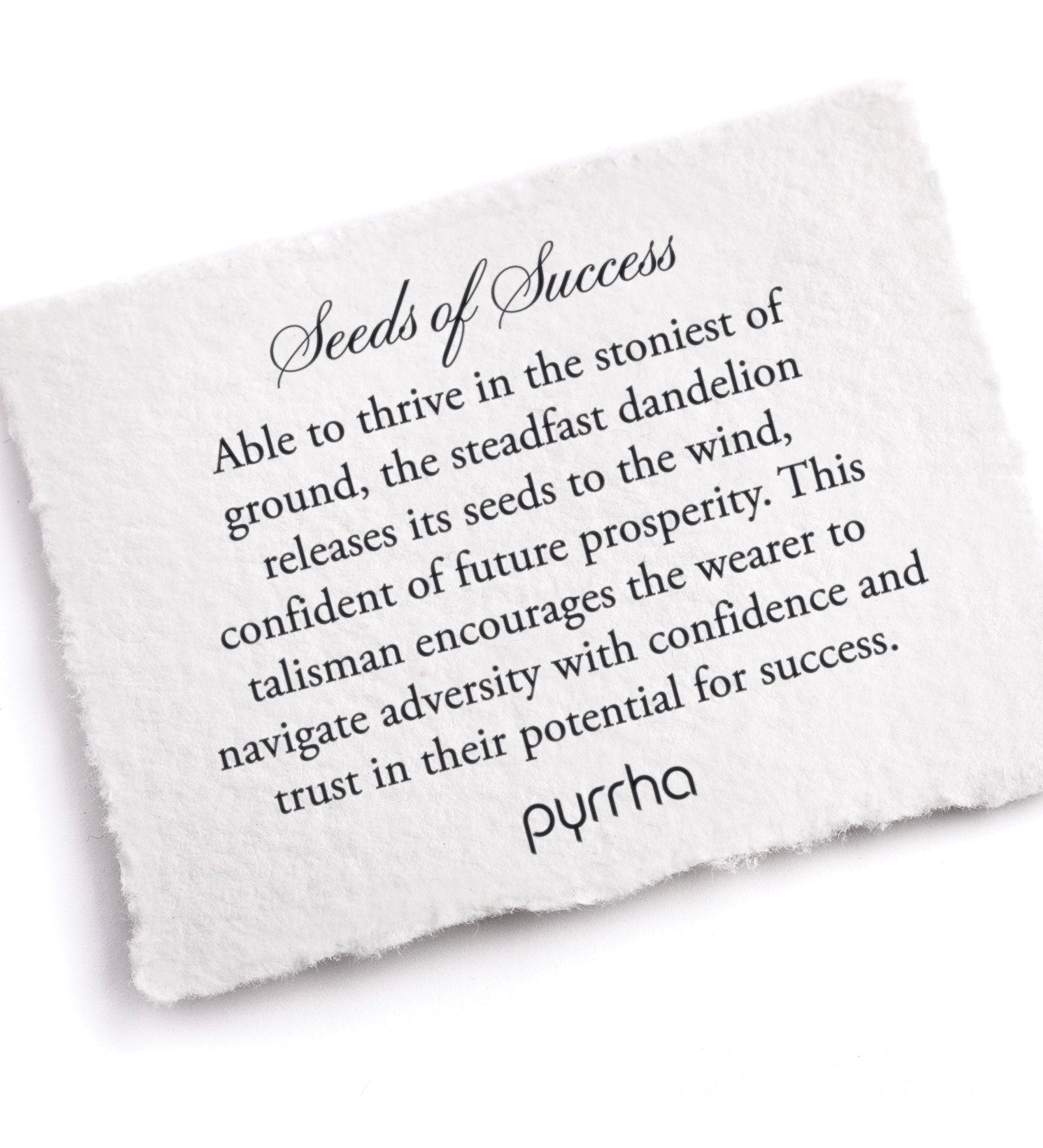 Seeds Of Success Talisman-Oxidized Sterling Silver-Blue Ruby Jewellery-Vancouver Canada