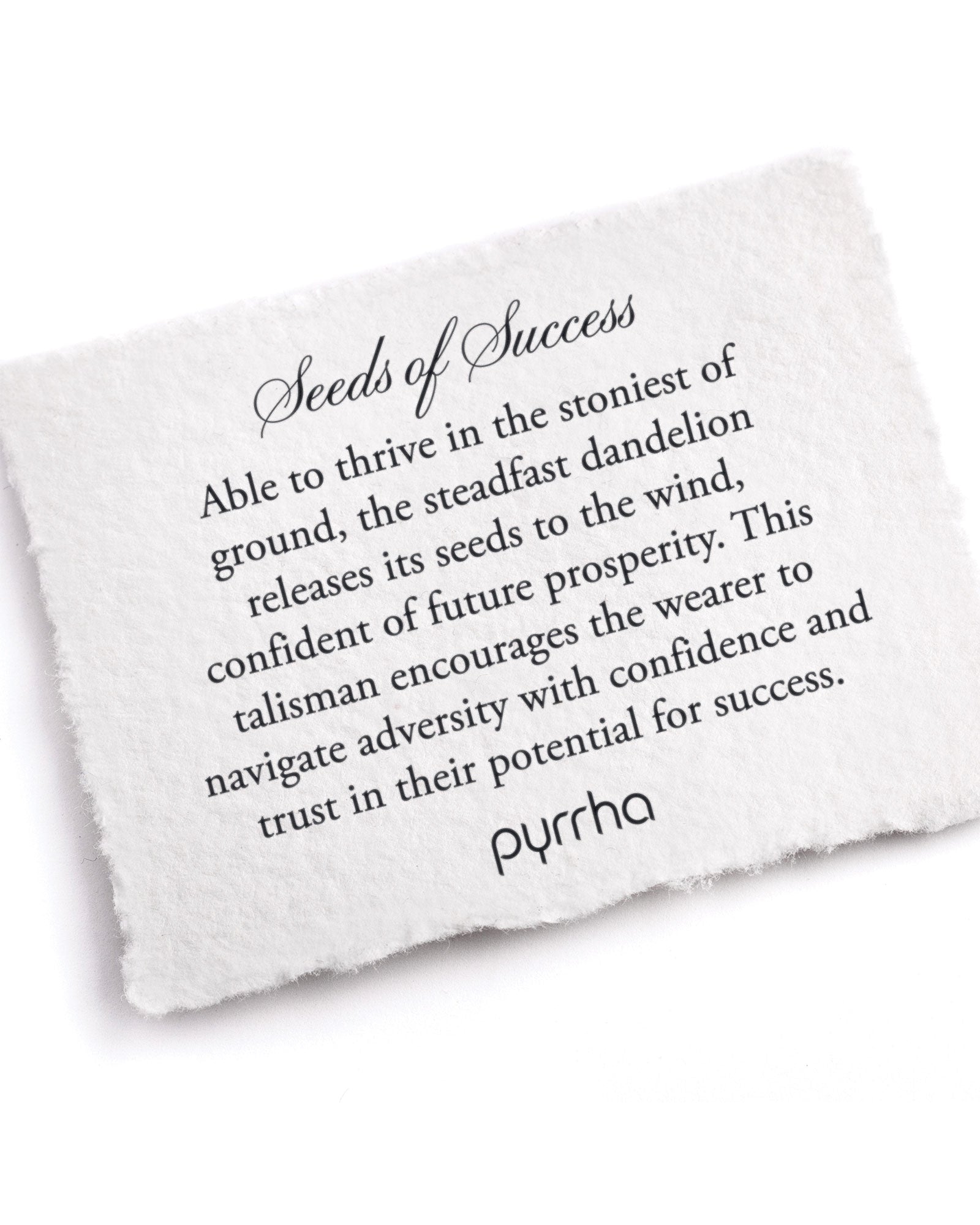 Seeds Of Success Talisman-Oxidized Sterling Silver-Blue Ruby Jewellery-Vancouver Canada