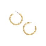 Alexis Bittar-Small Textured Hoops-Earrings-14k Gold Plated-Blue Ruby Jewellery-Vancouver Canada