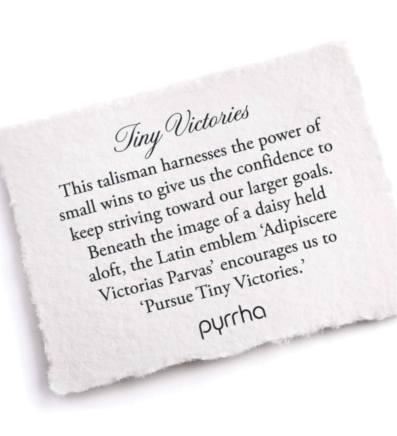 Tiny Victories Talisman-Oxidized Sterling Silver-Blue Ruby Jewellery-Vancouver Canada