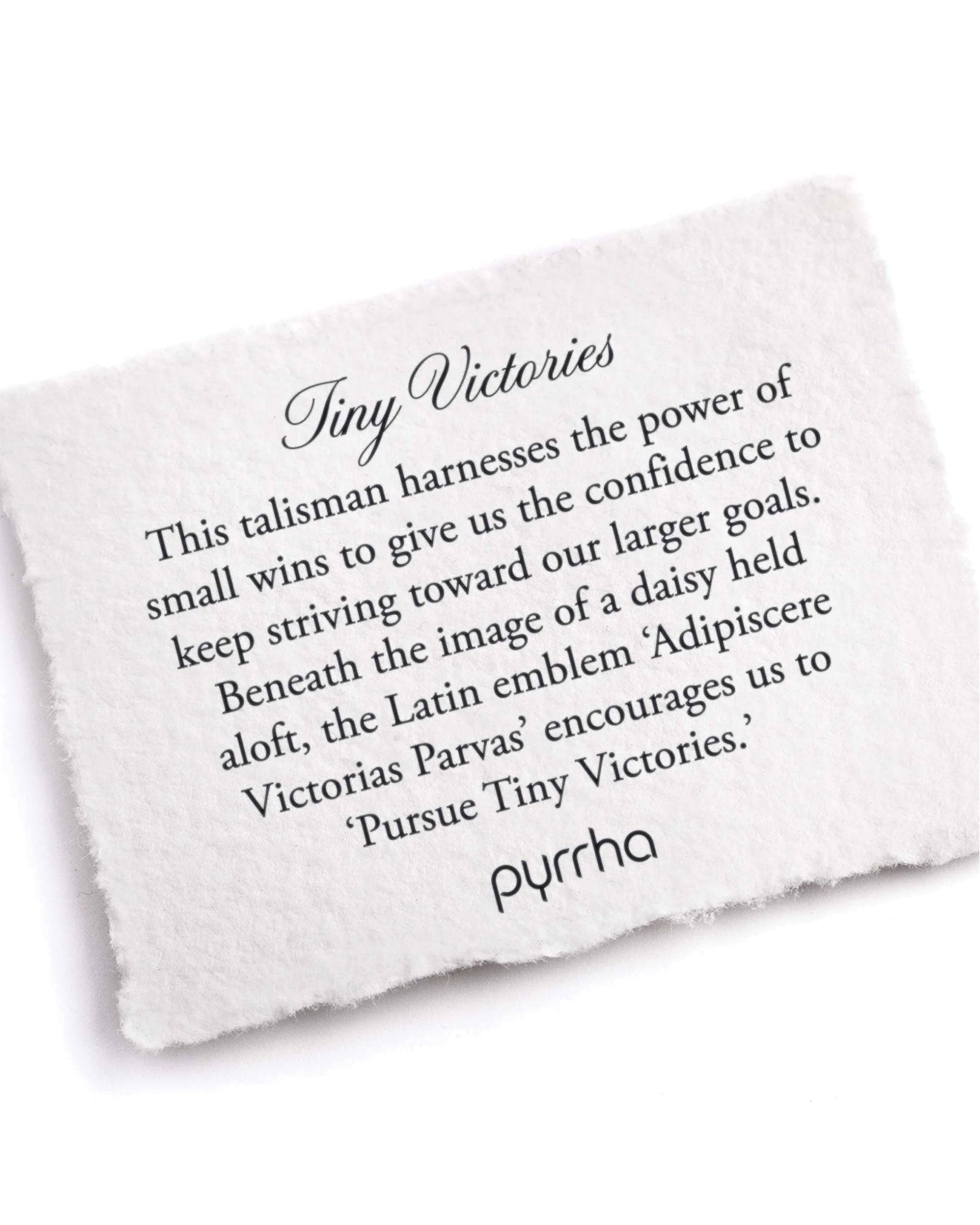 Tiny Victories Talisman-Oxidized Sterling Silver-Blue Ruby Jewellery-Vancouver Canada