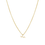 Quiet Icon-Zodiac Necklace-Necklaces-14k Gold Vermeil-Aquarius-Blue Ruby Jewellery-Vancouver Canada