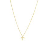 Quiet Icon-Zodiac Necklace-Necklaces-14k Gold Vermeil-Aries-Blue Ruby Jewellery-Vancouver Canada