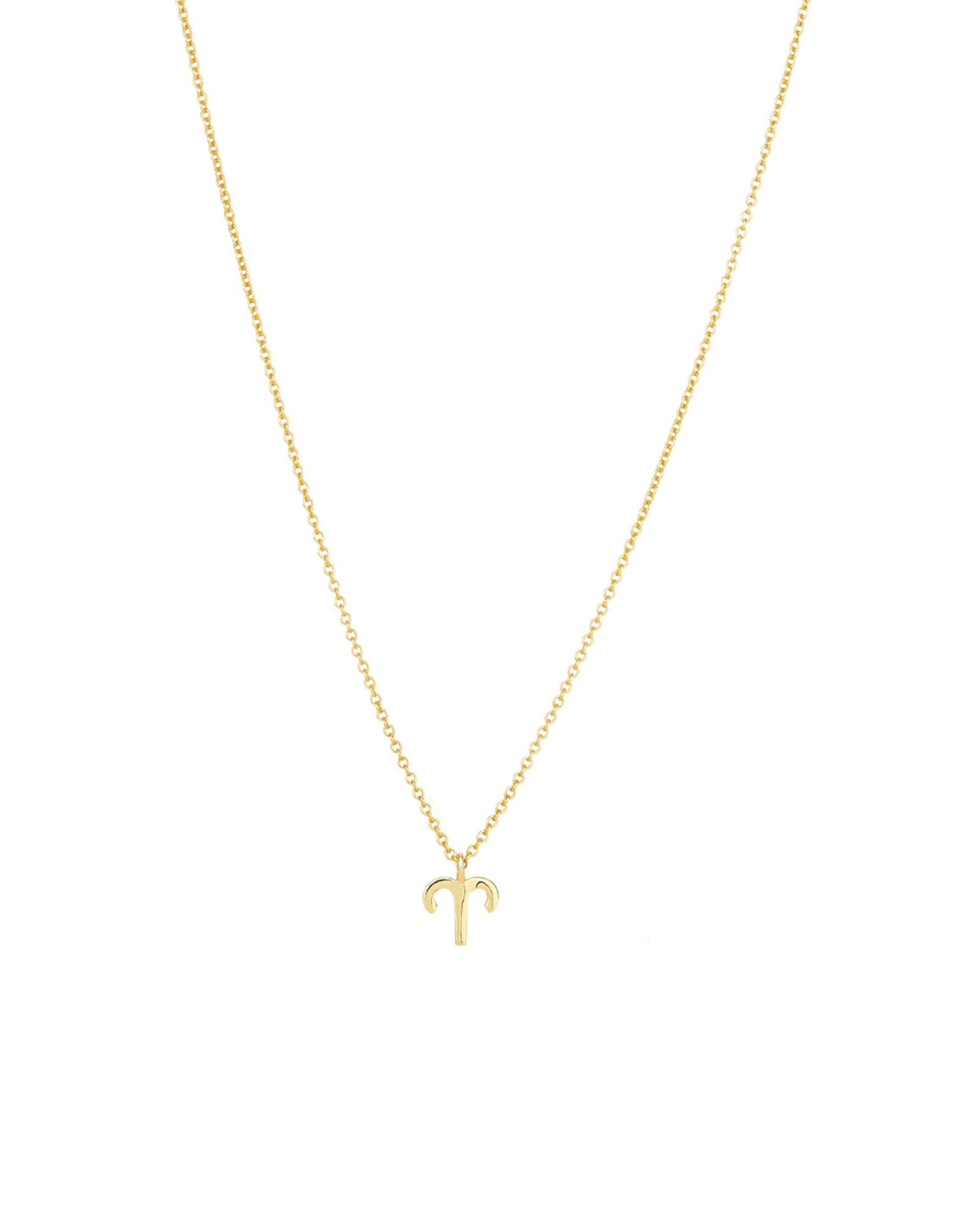 Quiet Icon-Zodiac Necklace-Necklaces-14k Gold Vermeil-Aries-Blue Ruby Jewellery-Vancouver Canada
