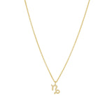 Quiet Icon-Zodiac Necklace-Necklaces-14k Gold Vermeil-Capricorn-Blue Ruby Jewellery-Vancouver Canada
