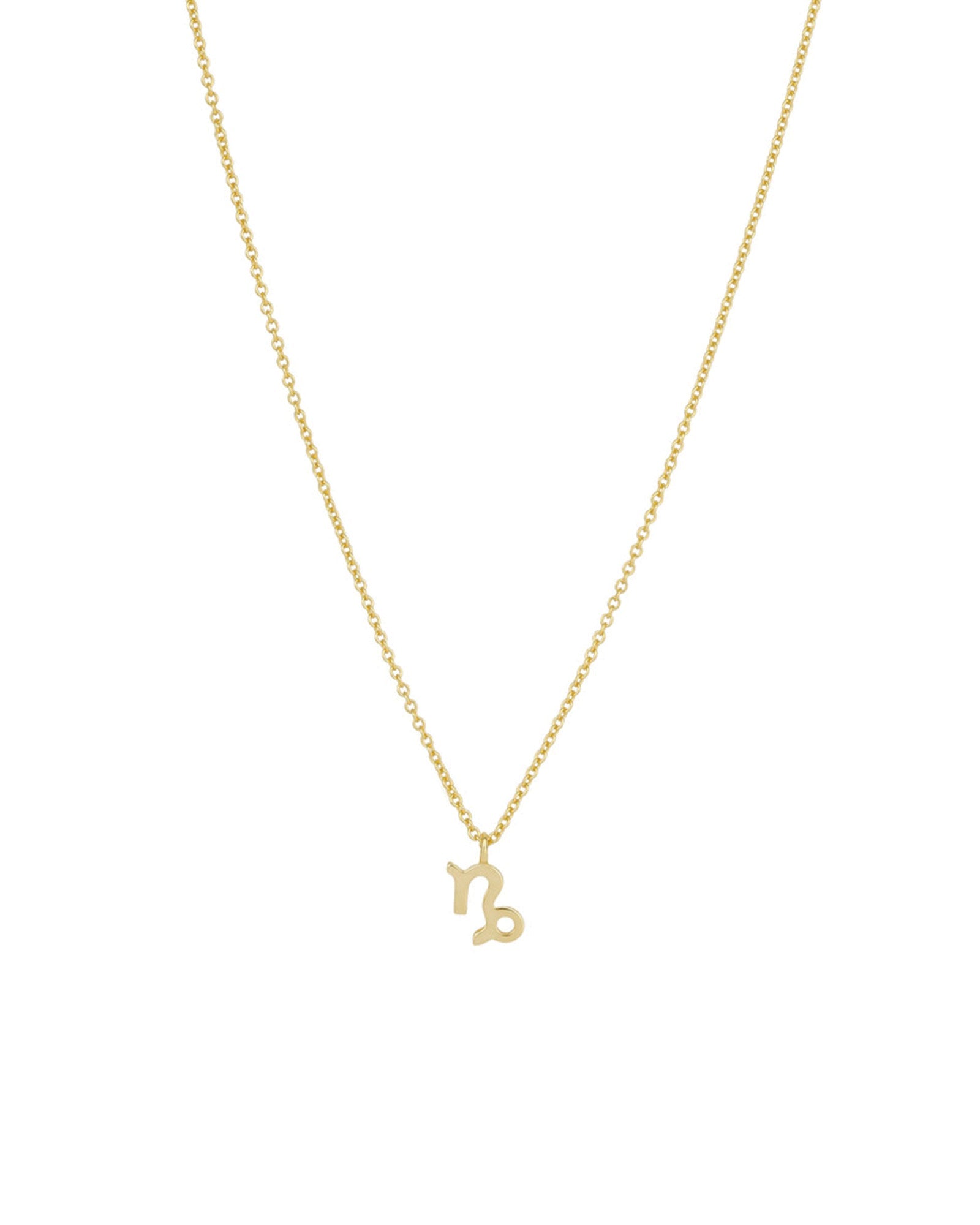 Quiet Icon-Zodiac Necklace-Necklaces-14k Gold Vermeil-Capricorn-Blue Ruby Jewellery-Vancouver Canada