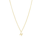 Quiet Icon-Zodiac Necklace-Necklaces-14k Gold Vermeil-Pisces-Blue Ruby Jewellery-Vancouver Canada