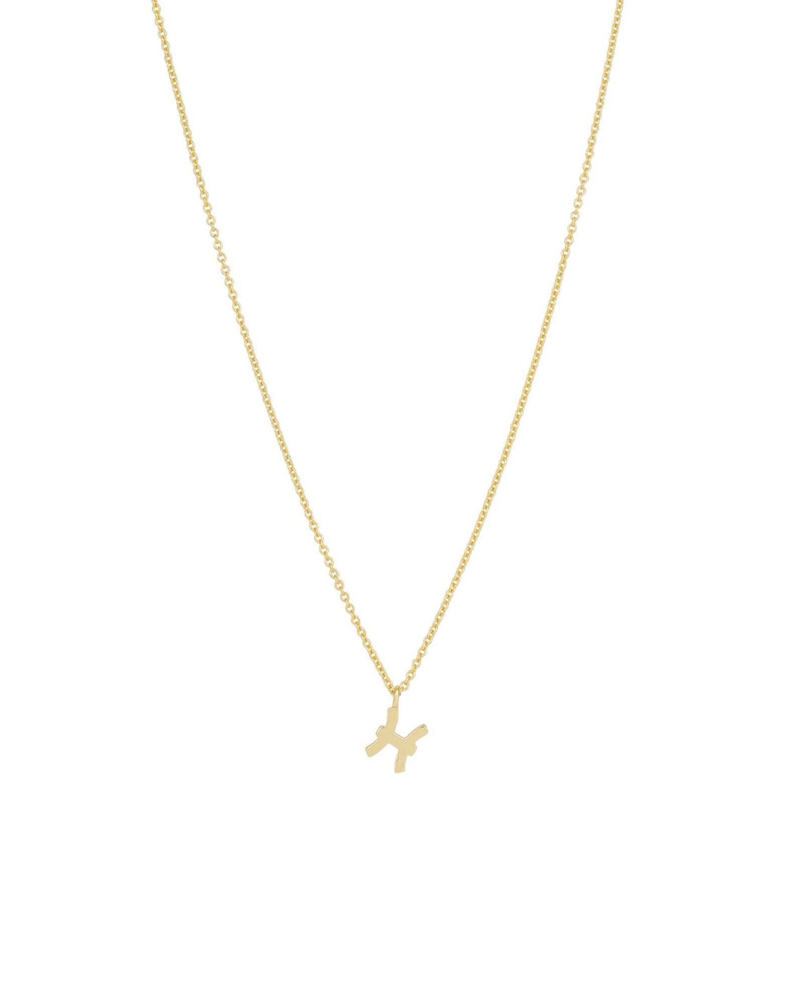 Quiet Icon-Zodiac Necklace-Necklaces-14k Gold Vermeil-Pisces-Blue Ruby Jewellery-Vancouver Canada