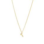 Quiet Icon-Zodiac Necklace-Necklaces-14k Gold Vermeil-Sagittarius-Blue Ruby Jewellery-Vancouver Canada