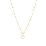 Quiet Icon-Zodiac Necklace-Necklaces-14k Gold Vermeil-Taurus-Blue Ruby Jewellery-Vancouver Canada