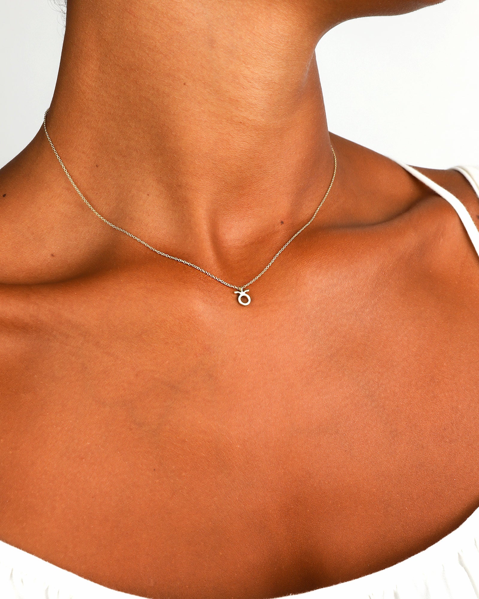 Quiet Icon-Zodiac Necklace-Necklaces-Blue Ruby Jewellery-Vancouver Canada